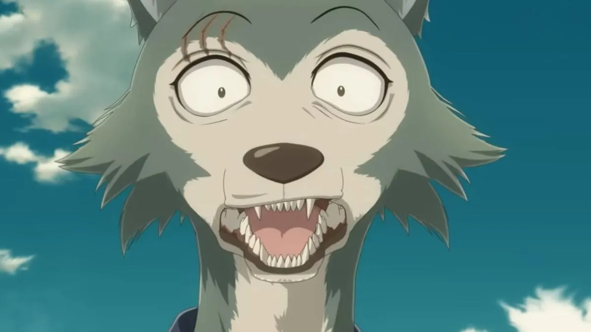 Is There A Beastars Season Release Date How To Watch Abroad